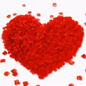 Røde Kunstige Rosenblade – 500 stk til Romantisk Dekoration, Bryllup og Valentinsdag